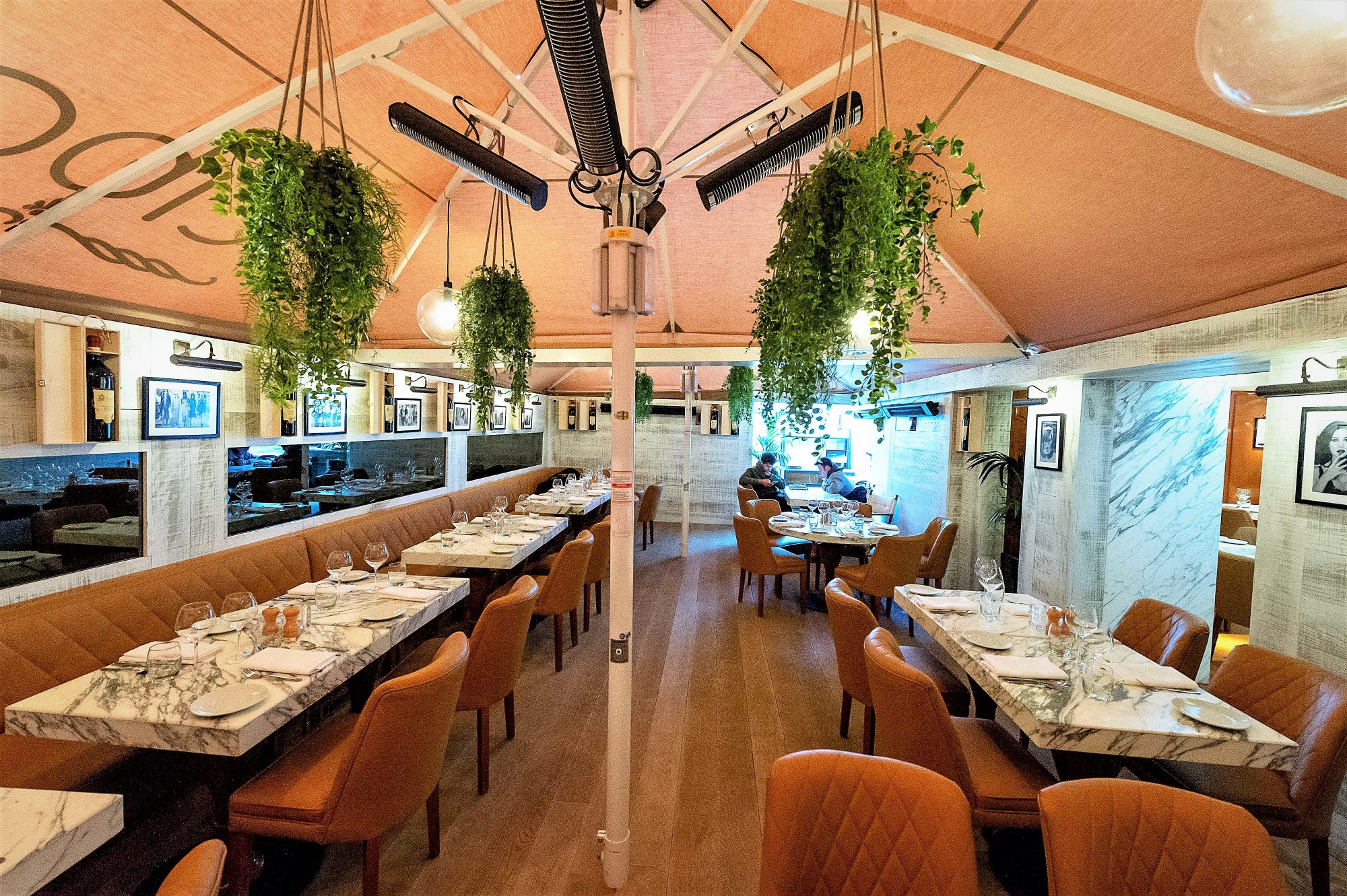 Cibo, Hale Loca Shading Designs