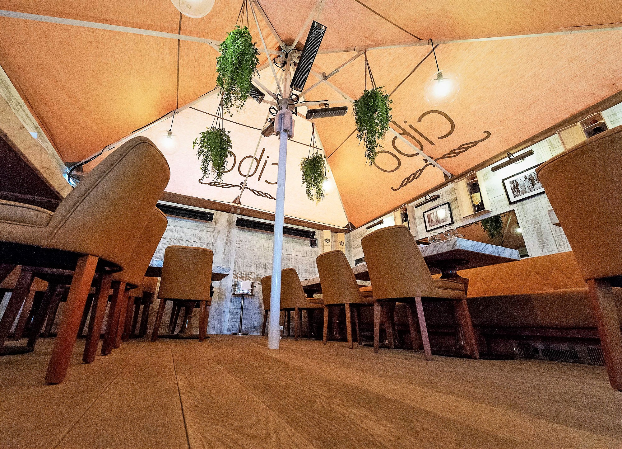 Cibo, Hale Loca Shading Designs